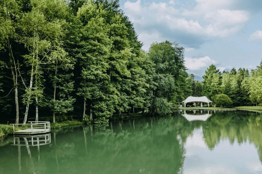 duck_island KONGRES Europe Events and Meetings Industry Magazine