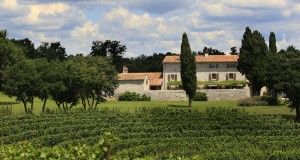 villa, vinogradi