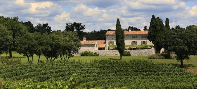 villa, vinogradi