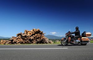 harley-davidson