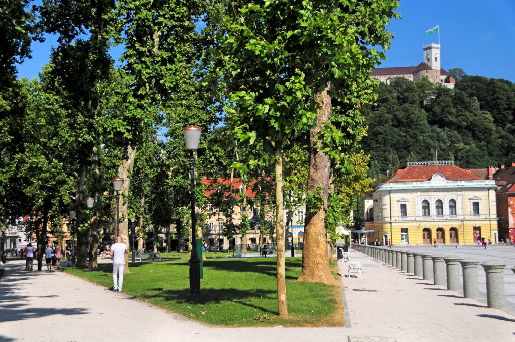 Ljubljana Tree City