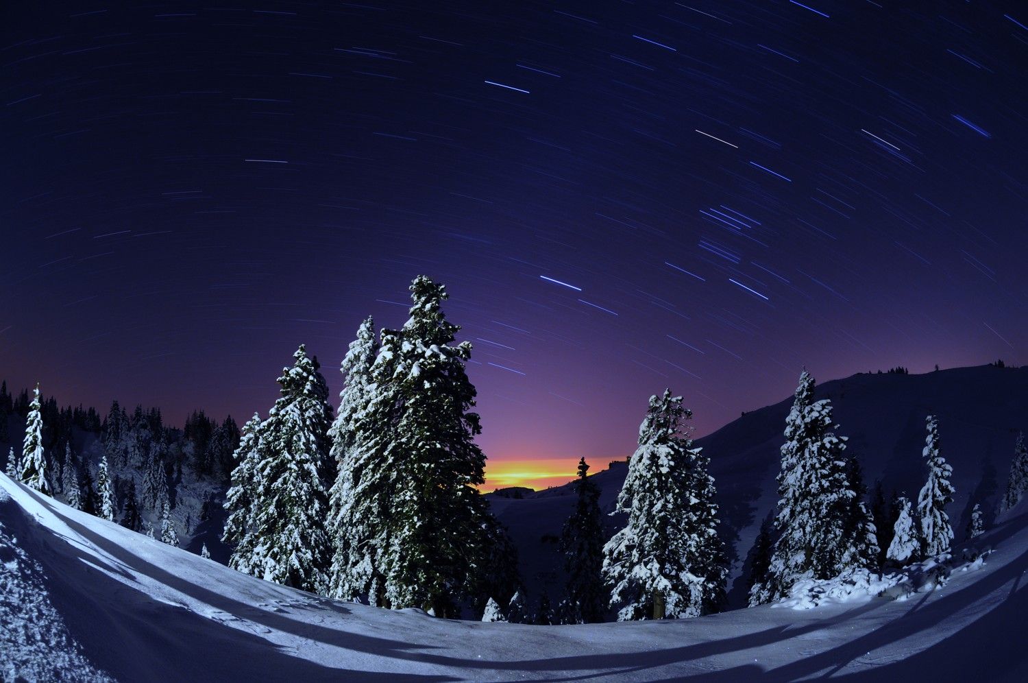 Incentive of sledding under clear winter night skies - KONGRES