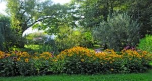 ljubljana_bee_path_botanical_garden