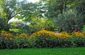 ljubljana_bee_path_botanical_garden