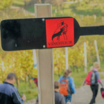 Maribor – Nordic Walking VinoTOUR