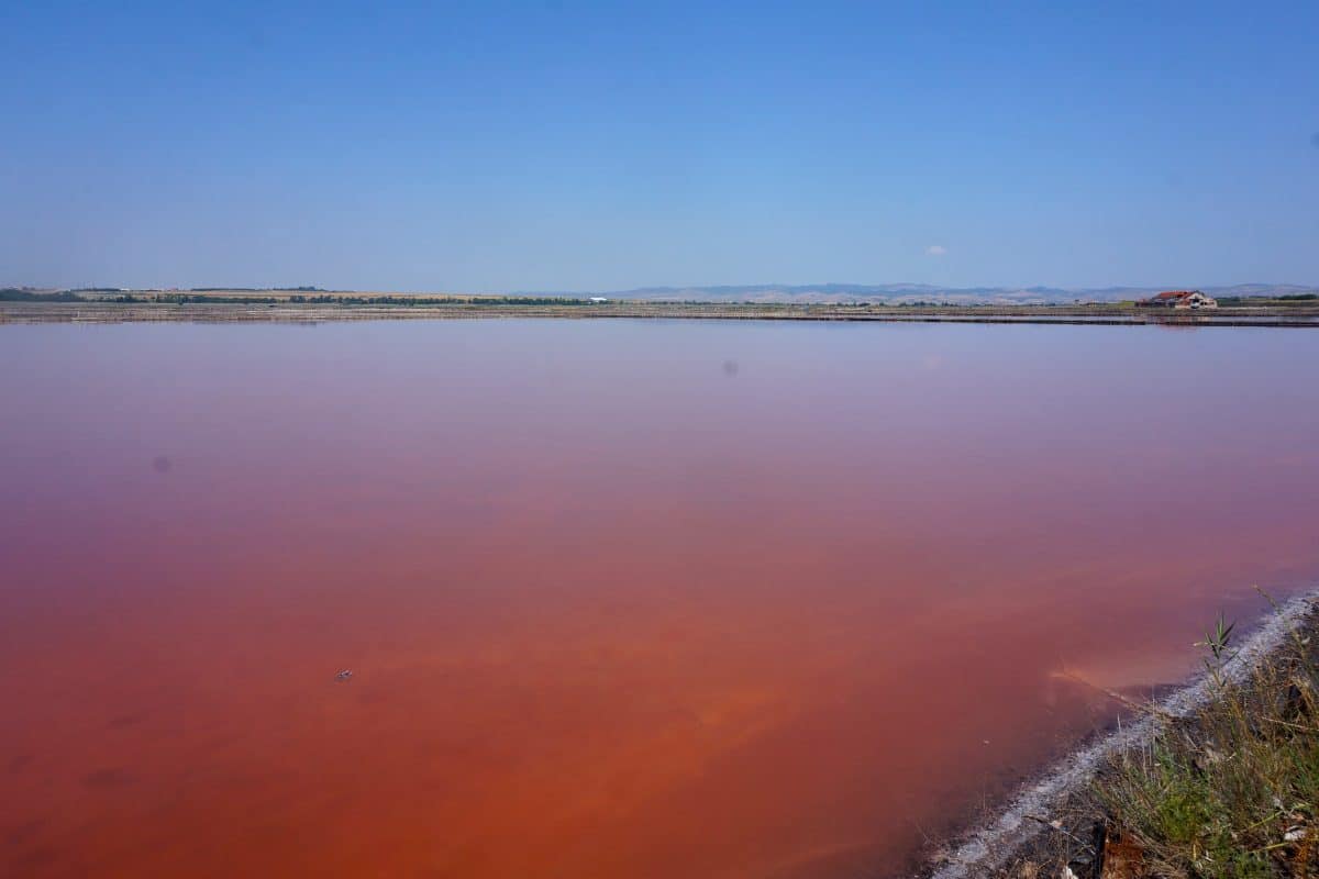 bulgaria-burgas-bathing-lake-pink-salt-lake
