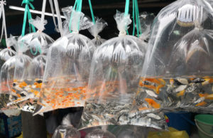 fish-plastic-bag-market-kongres-magazine