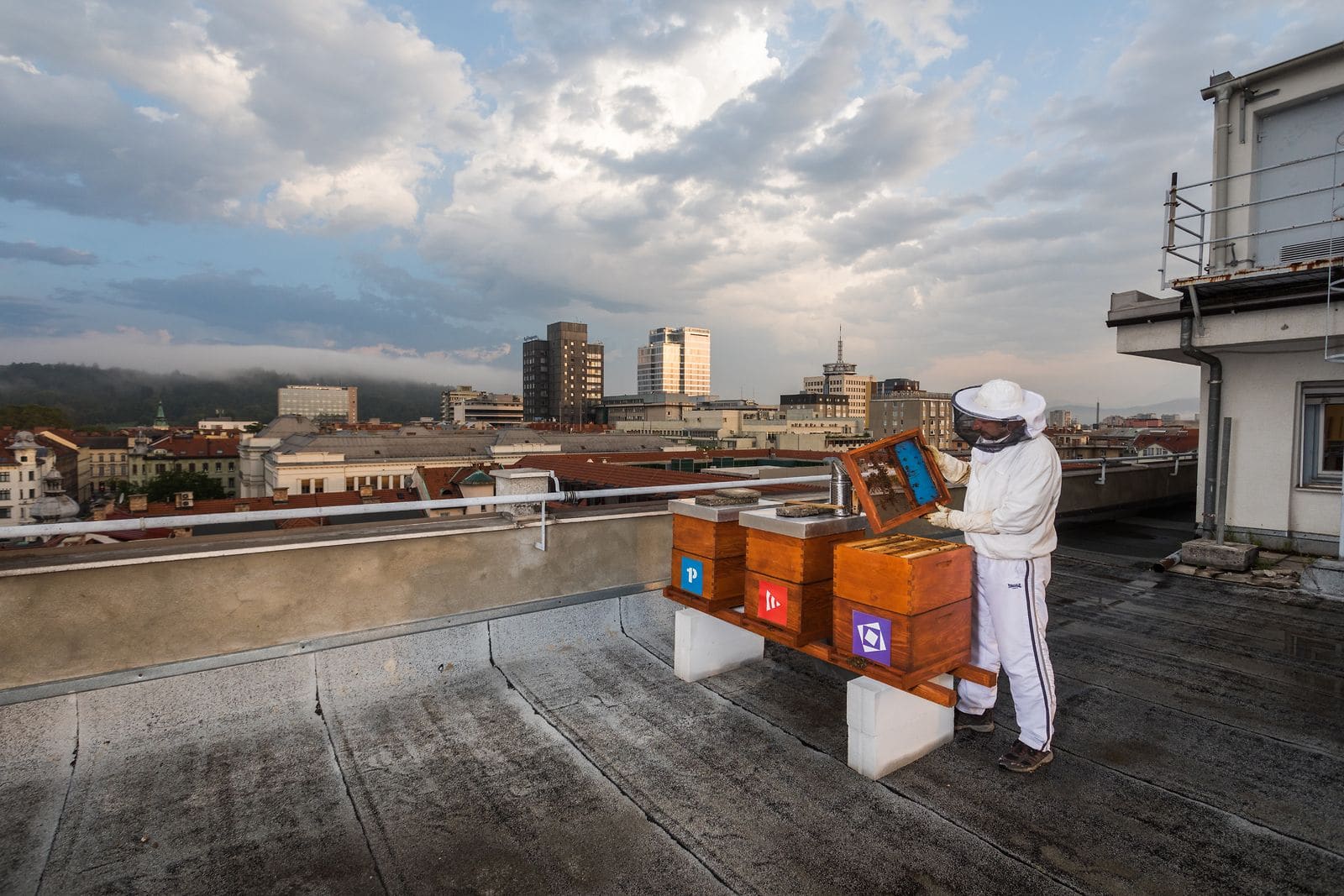 bee path ljubljana urban beekeeping