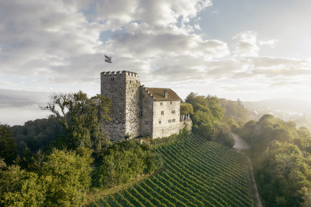 habsburg_castle