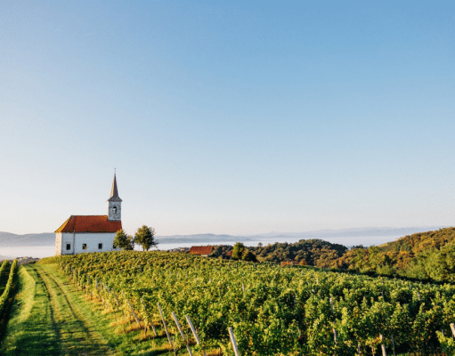 bela_krajina_slovenia