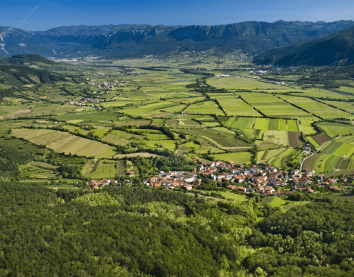 vipava_valley