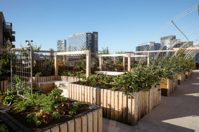 melbourne_skyfarm