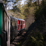 tesnolineika_train_ride