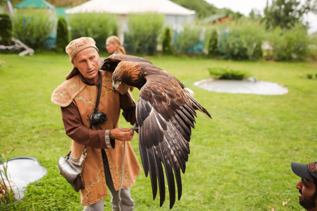 falconry_kazakhstan