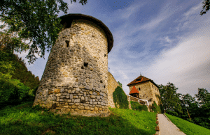 grad_pavus_lasko