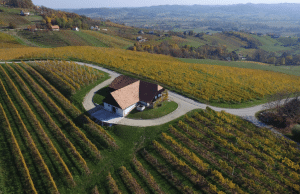winery_istenic