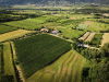 ferjancic_estate