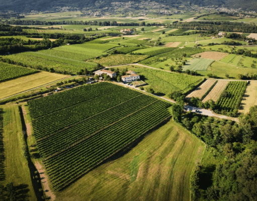 ferjancic_estate