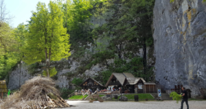 special_venues