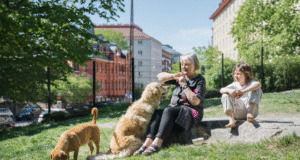 dog_tour_helsinki