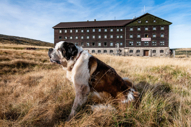 lucni_bouda lucni_bouda