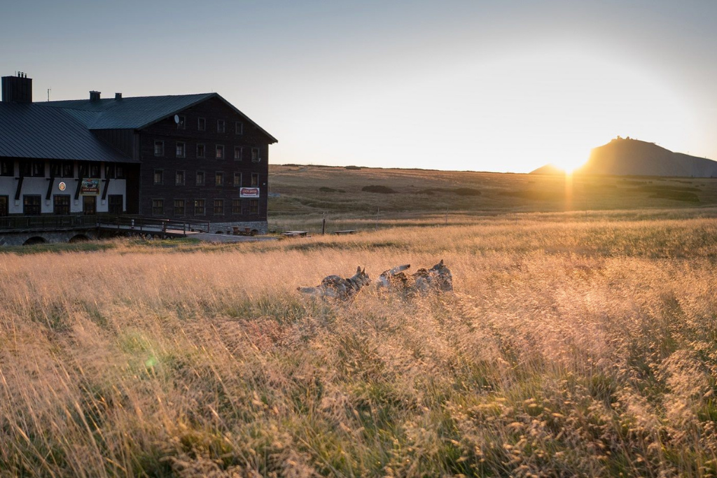 lucni_bouda lucni_bouda