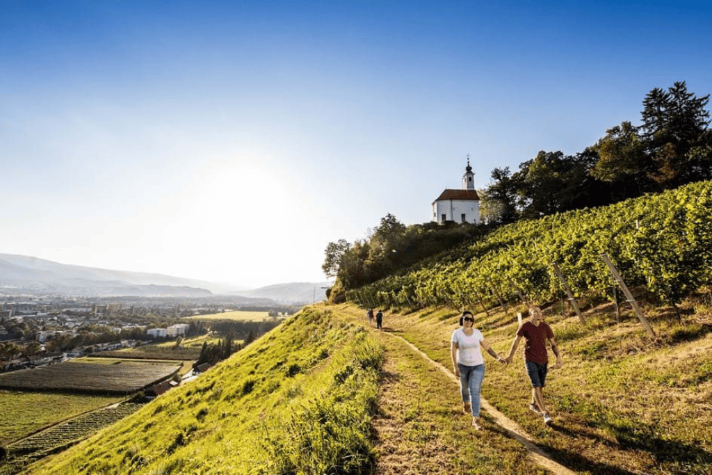 maribor_velvet_dinner