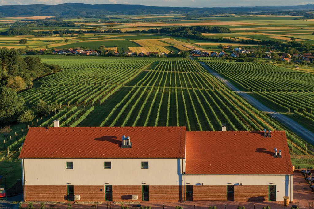 restaurant_vinkomir restaurant_vinkomir