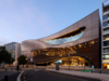 business_event_wellington