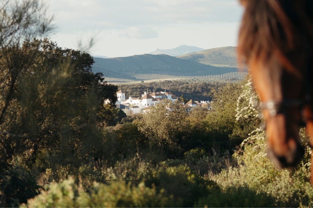 granada_spain granada_spain