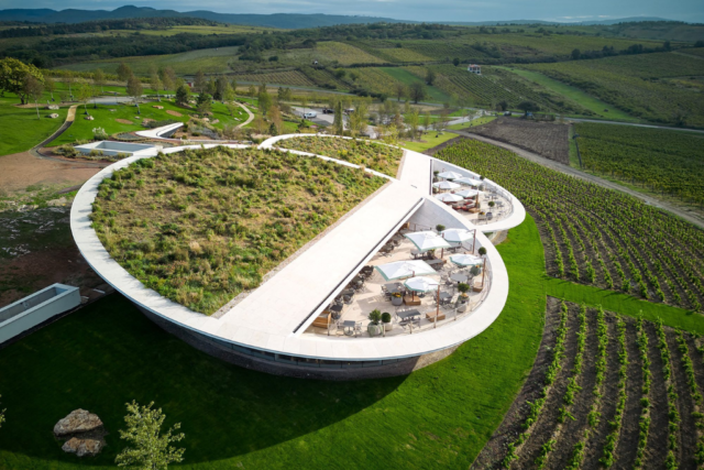 sauska_tokaj sauska_tokaj