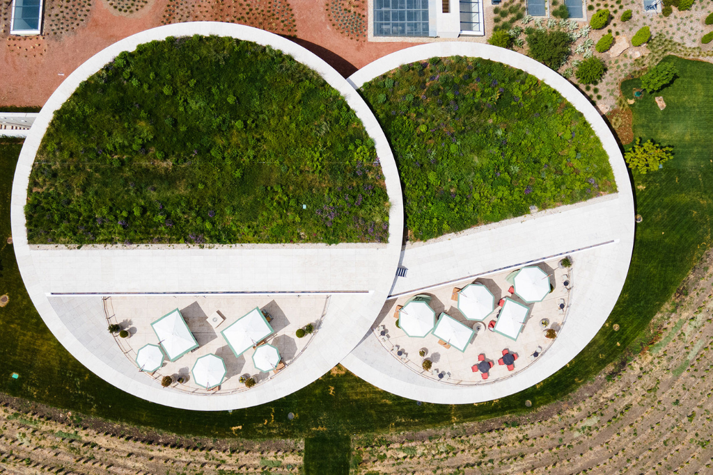 sauska_tokaj sauska_tokaj