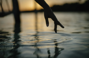 accor_sustainability