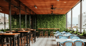 Rooftop cafe seating area with tall wooden tables and stools on the left, blue-patterned chairs and white tables on the right, glass walls, and a green leafy wall at the back with city buildings in the distance.