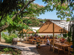 Special Venues: Folly Arboretum Balaton folly_arboretum