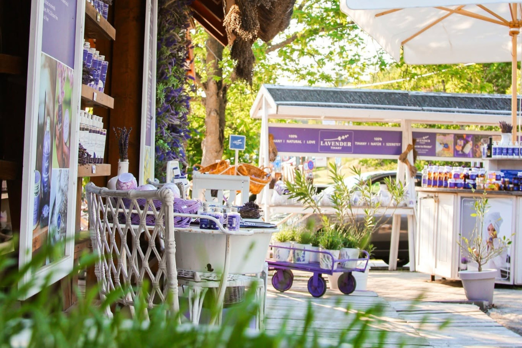 lavender_tihany lavender_tihany