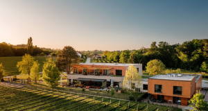 wine_paradise_glavinic
