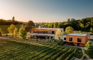 wine_paradise_glavinic