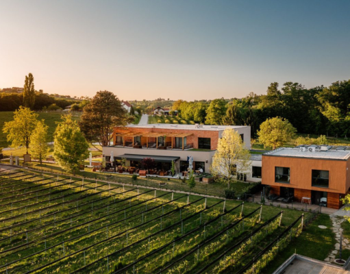 wine_paradise_glavinic