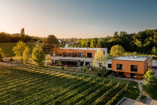 wine_paradise_glavinic wine_paradise_glavinic