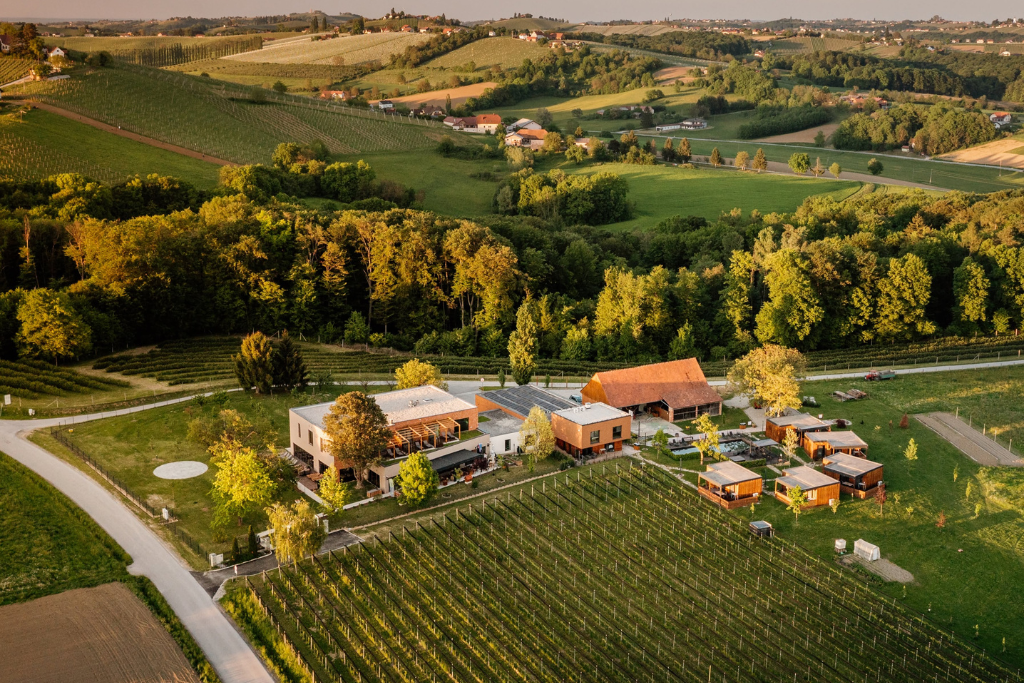 wine_paradise_glavinic wine_paradise_glavinic