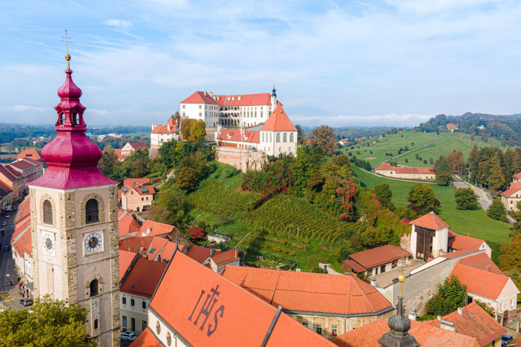 ptujski_grad ptujski_grad