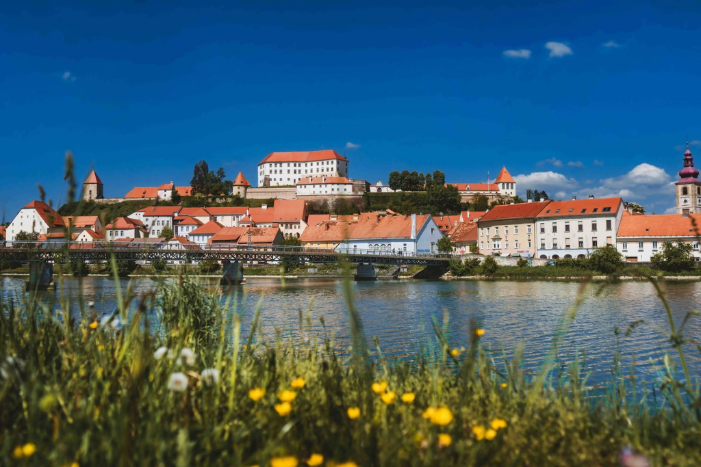 ptujski_grad A riverfront town with red-roofed buildings on a hill, a metal bridge across the water, and a bright blue sky; wildflowers in the foreground.