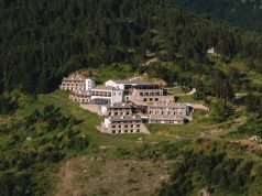 HIDDEN GUEST: Grand Forest Metsovo grand_forest_metsovo