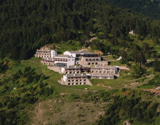 grand_forest_metsovo