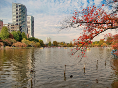 Tokyo poised to host six conferences through 2029 tokyo_japan