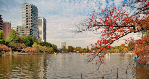 tokyo_japan