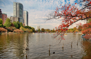 tokyo_japan