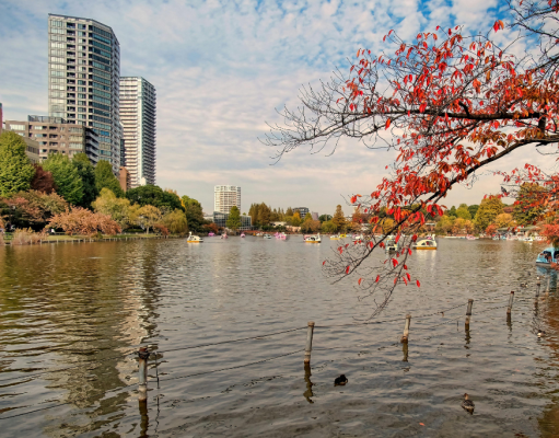 tokyo_japan