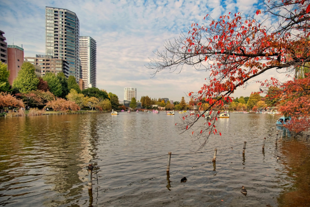 tokyo_japan